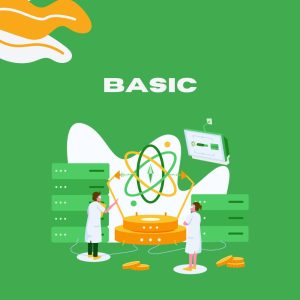 Basic Hosting Plan