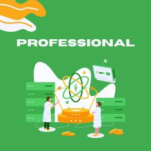 Professional Hosting plan